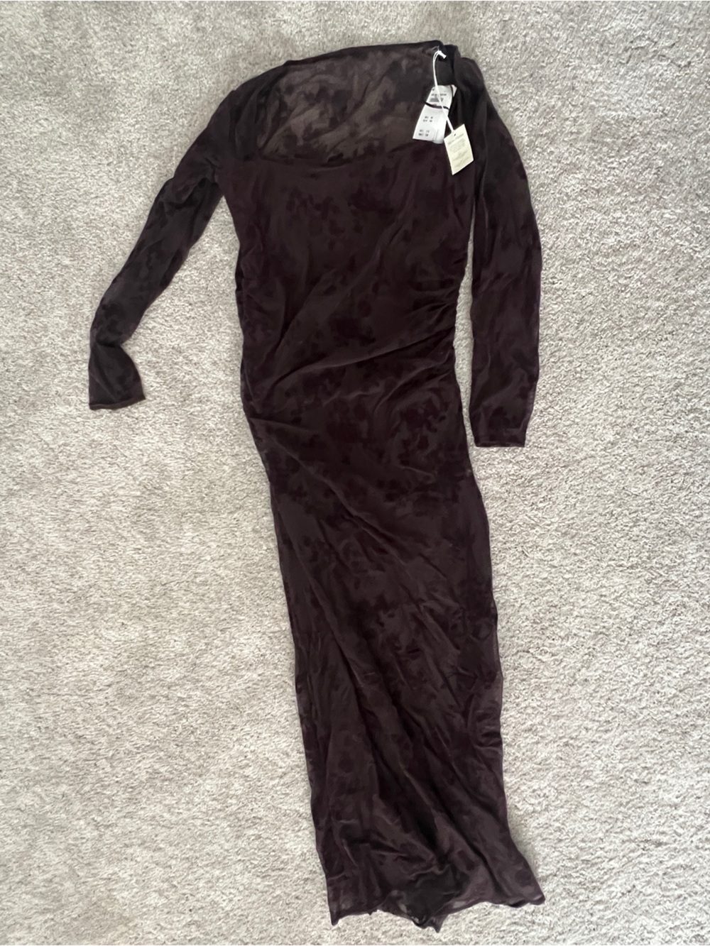 Long Sleeve Sheer Maxi Dress in Deep Plum/Browb